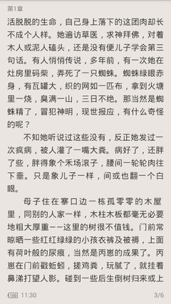 菲律宾移民局工作人员会说中文吗 专业讲解